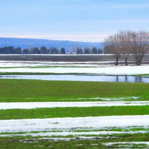 зеленый луг и река в снегу
