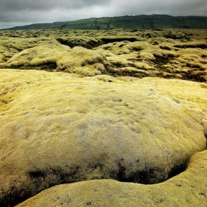лавовое поле Исландии