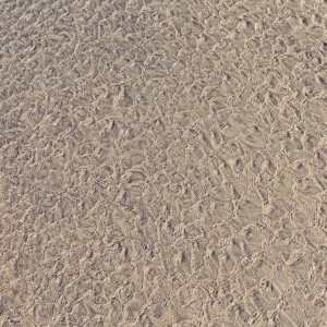текстура песка