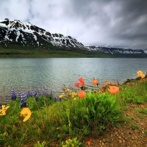 Залив в Исландии 3D. Фото Люси Мараткановой