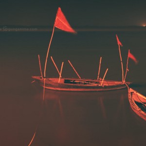 лодки вьетнама