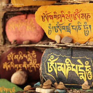 священные камни в индии в дхарамсале