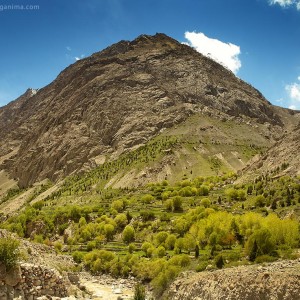 оазис среди пустынных гор в пакистане