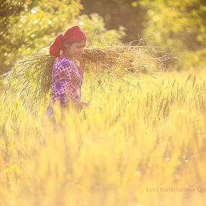 девушка собирает траву в дхарамсале в индии