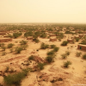 пустыня чолистан в пакистане