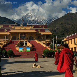 монастырь гьето в горах в индии