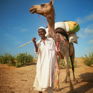 погонщик в пустыне с верблюдом с пакистане