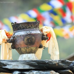 буддизм в непале