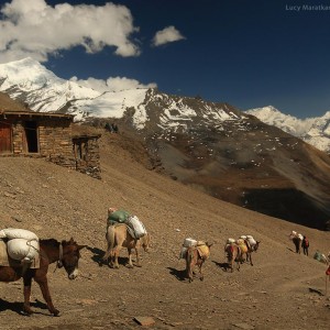 базовый лагерь аннапурны в непале
