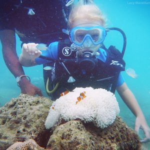 diving on andaman islands in india