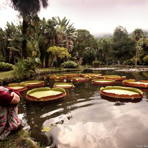 girl near the lake with nenuphar in botanical garden in rio de janeiro in brazil