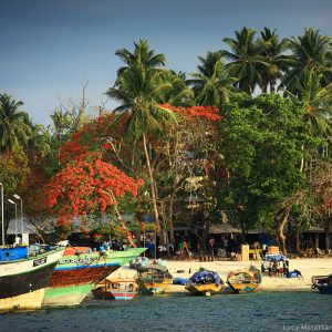 Побережье острова Хэвелок в Андаманских островах в Индии