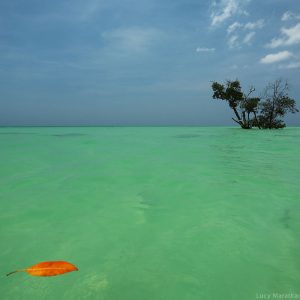 Бирюзовая вода в океане у острова Хавелок Андаманских островов