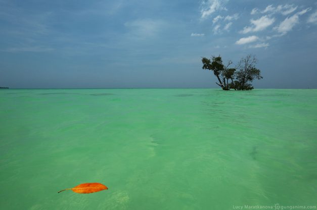 turquiose water on ocean in havelock island in andaman in india