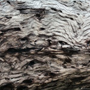 текстура и узоры на дереве