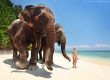 girl is standing near elefants on the shore of havelock island in andaman in india