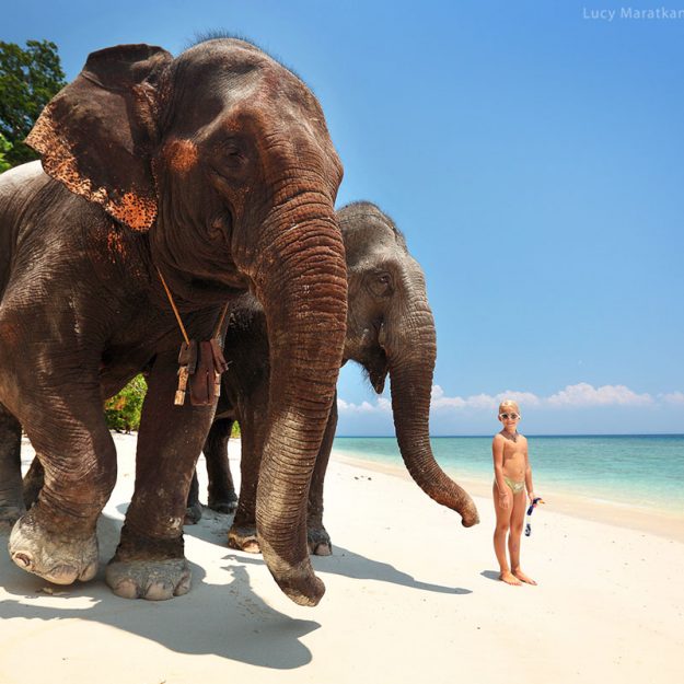 девочка стоит рядом со слонами на берегу моря на острове хэвелок в андаманских островах в индии