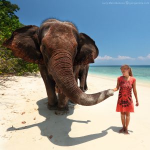 девушка и слон на берегу моря на острове хэвелок в андаманских островах в индии