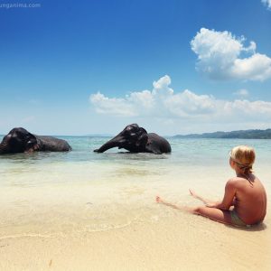 girl is looking at elefants in the sea on havelock island in andaman in india