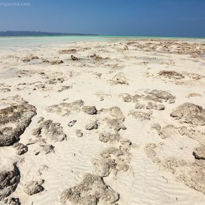 песчаный пляж на берегу моря на острове хэвелок в андаманских островах в индии