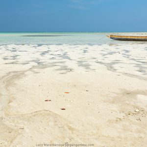 на берегу пляжа на острове хэвелок в андаманских островах в индии