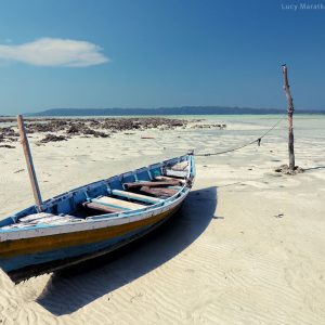 boat on the coast of beach on havelock island in andaman in india
