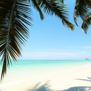 райский пляж с пальмами на острове хэвелок в андаманских островах в индии
