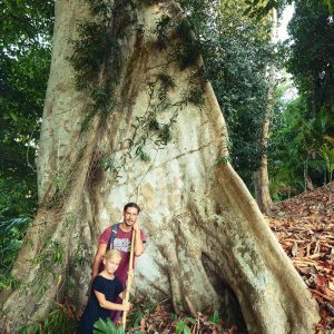 two people in the background of the big tree in havelock island in andaman in india
