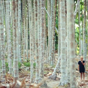 девочка в лесу с пальмами на острове хэвелок на андаманских островах в индии