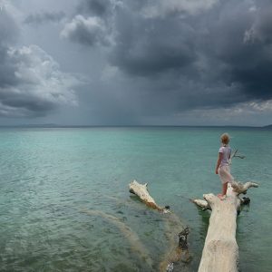 girl is standing on fallen tree in the sea on the shore of andaman islands in india