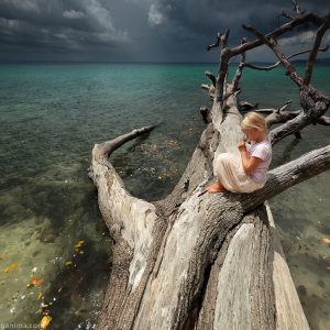 девочка на поваленном дереве в море на фоне грозы на слоновьем пляже в андаманских островах в Индии