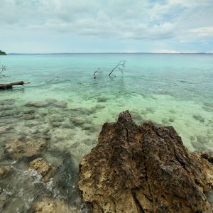 Прозрачное бирюзовое море у острова Хэвелок в Андаманских островах в Индии