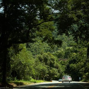 federal highway in brasil